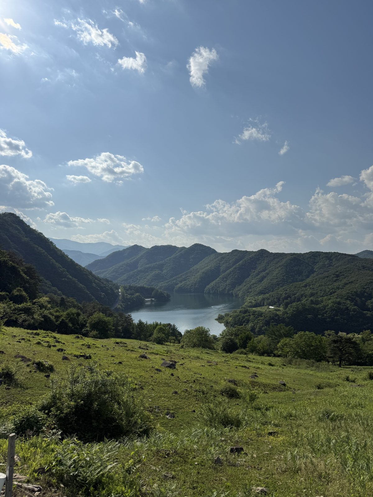 A lake surrounded by green hills near Chuncheon, seen from a grassy slope above the water